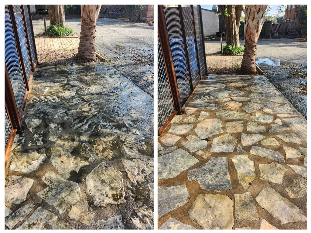 Before and after of a concrete walkway cleaned by pressure washing
